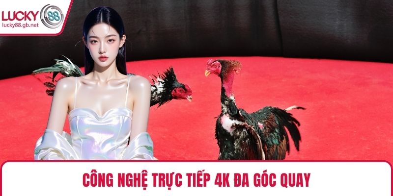 Công nghệ trực tiếp 4K đa góc quay