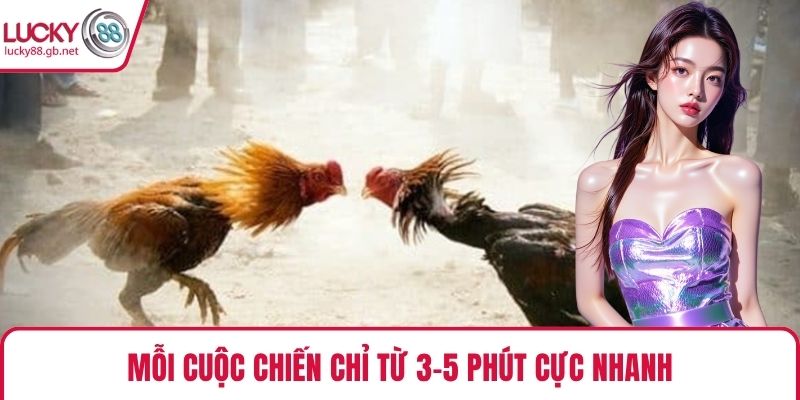 Mỗi cuộc chiến chỉ từ 3-5 phút cực nhanh